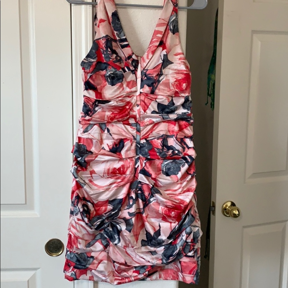 Express Dress - Picture 4 of 4